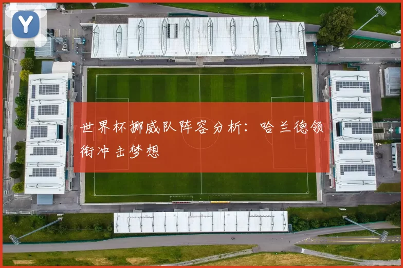 世界杯挪威队阵容分析:哈兰德领衔冲击梦想