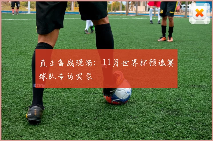 直击备战现场：11月世界杯预选赛球队专访实录