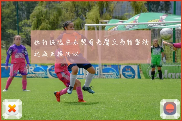 独行侠选中东契奇老鹰交易特雷杨达成互换协议