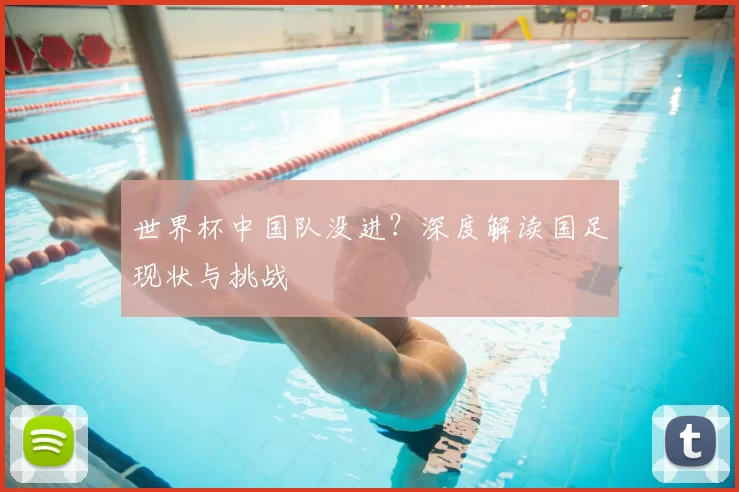 世界杯中国队没进?深度解读国足现状与挑战