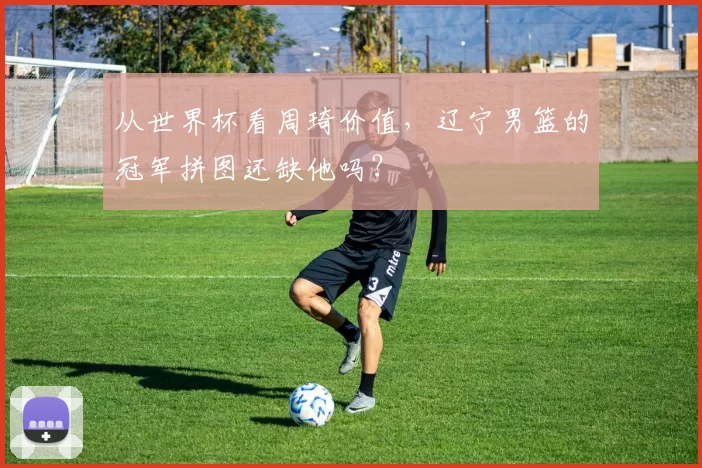 从世界杯看周琦价值，辽宁男篮的冠军拼图还缺他吗？