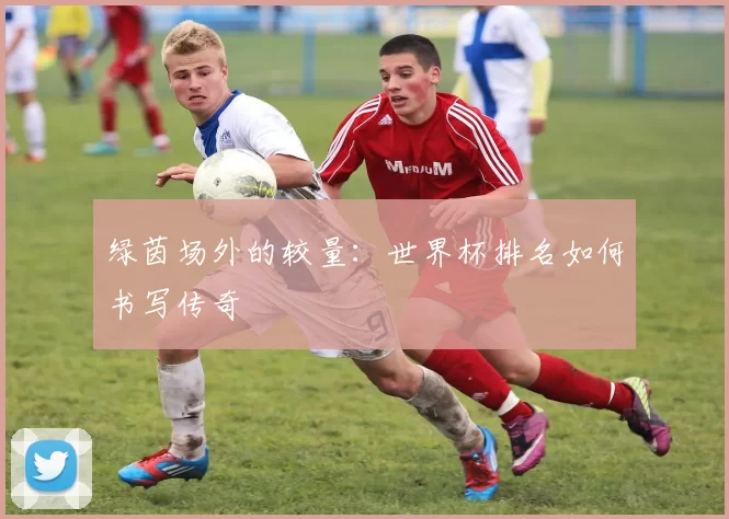 绿茵场外的较量：世界杯排名如何书写传奇