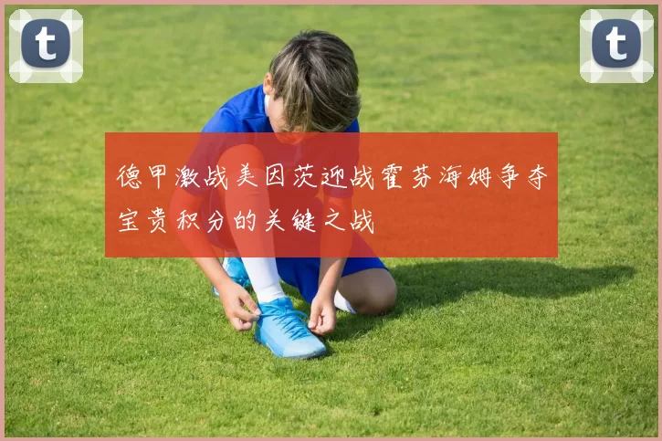 德甲激战美因茨迎战霍芬海姆争夺宝贵积分的关键之战