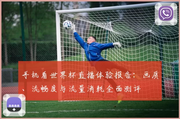 手机看世界杯直播体验报告：画质、流畅度与流量消耗全面测评
