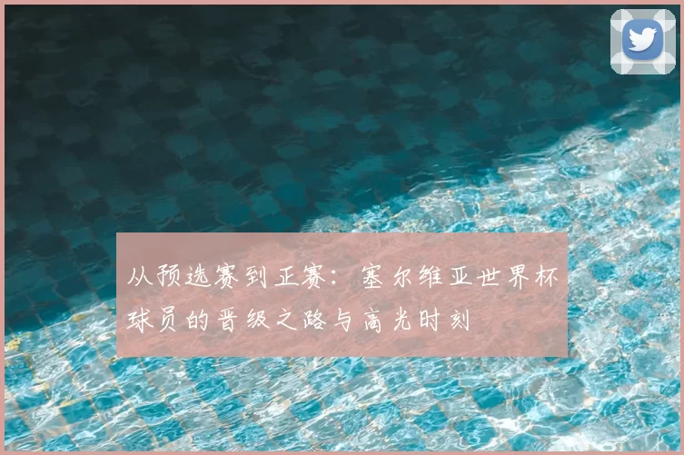 从预选赛到正赛:塞尔维亚世界杯球员的晋级之路与高光时刻
