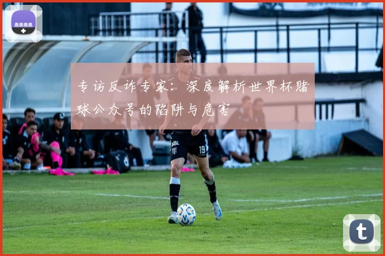 专访反诈专家:深度解析世界杯赌球公众号的陷阱与危害