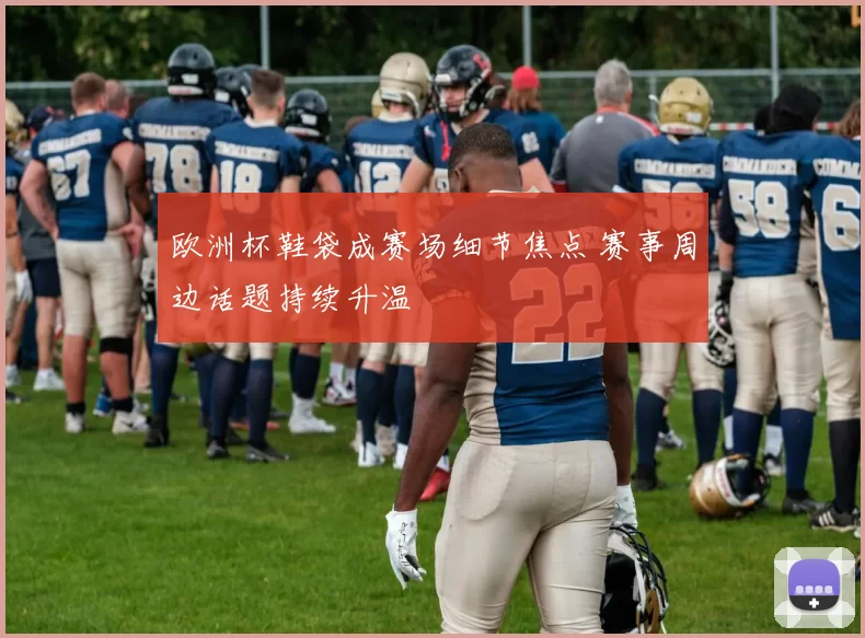 欧洲杯鞋袋成赛场细节焦点 赛事周边话题持续升温